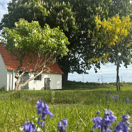 Sensby - Schlei Retreat With Fireplace & Garden * Thumby